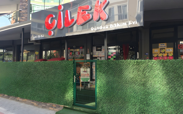 Özel Çilek Gündüz Bakım Evi
